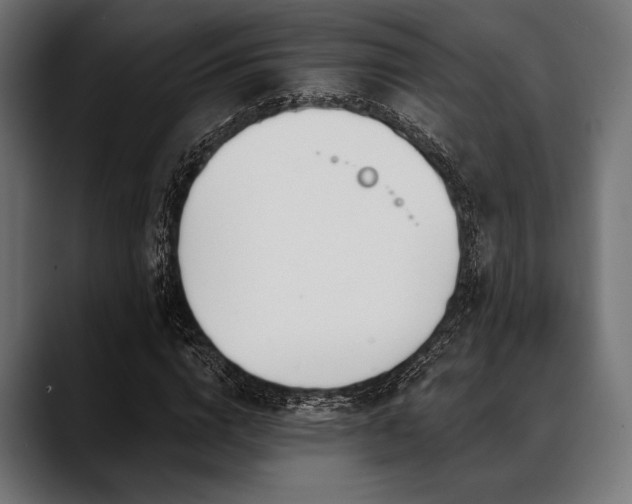 X0000088610824200705251219