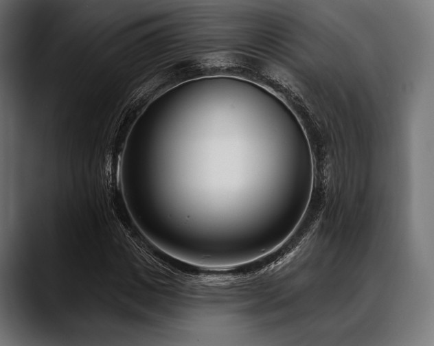 X0000088610825200705251219