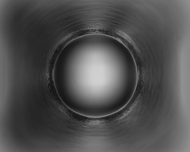 X0000088610826200705251219