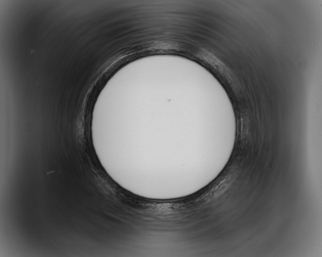 X0000088610828200705251219