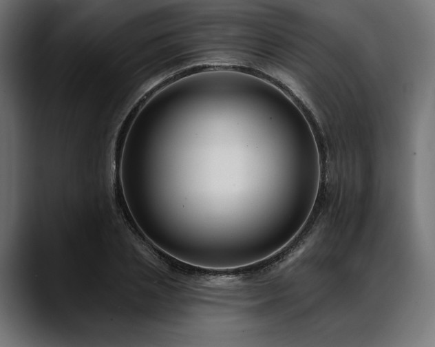 X0000088610837200705251219