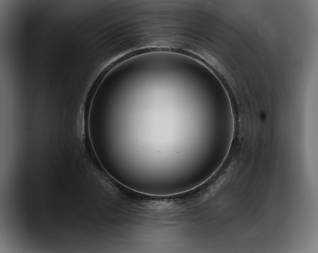 X0000088610838200705251219