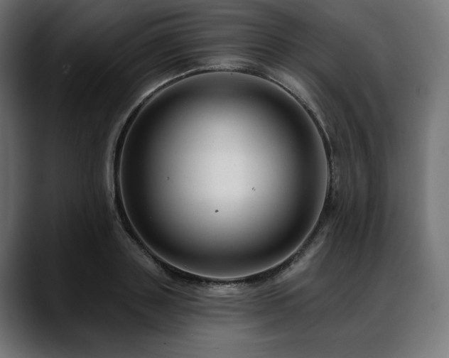 X0000088610843200705251219