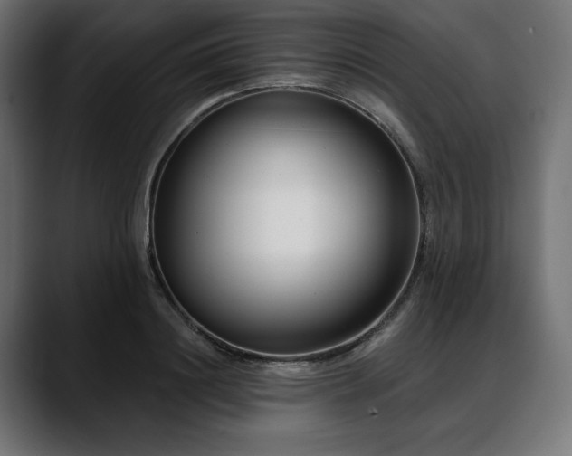 X0000088610844200705251219