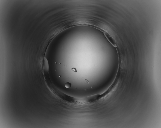 X0000088610849200705251219