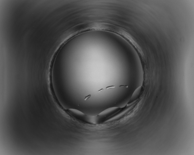 X0000088610853200705251219