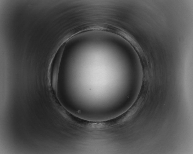 X0000088610858200705251219