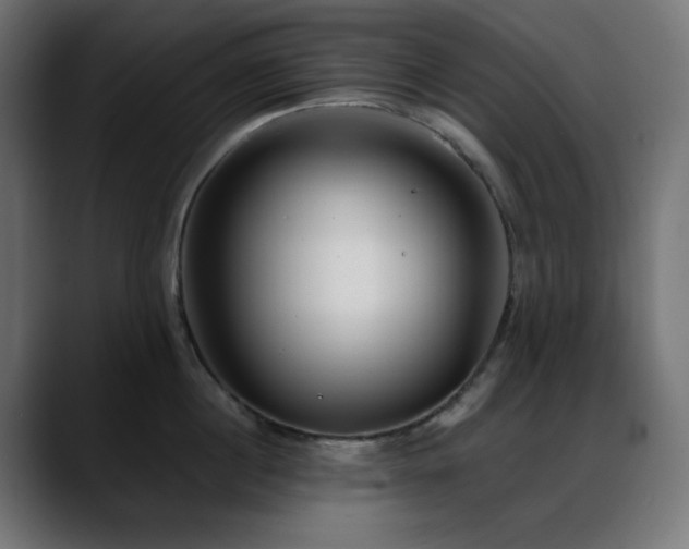 X0000088610860200705251219