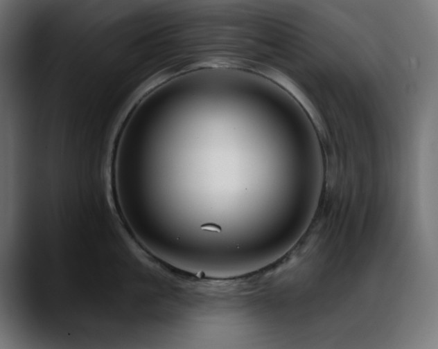 X0000088610861200705251219