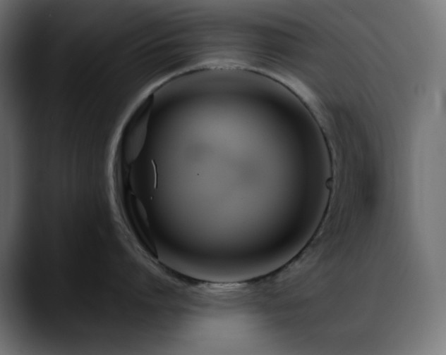 X0000088610864200705251219