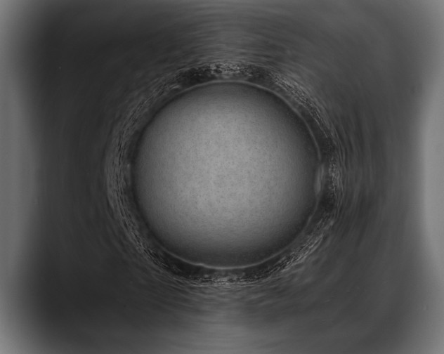 X0000088610865200705251219