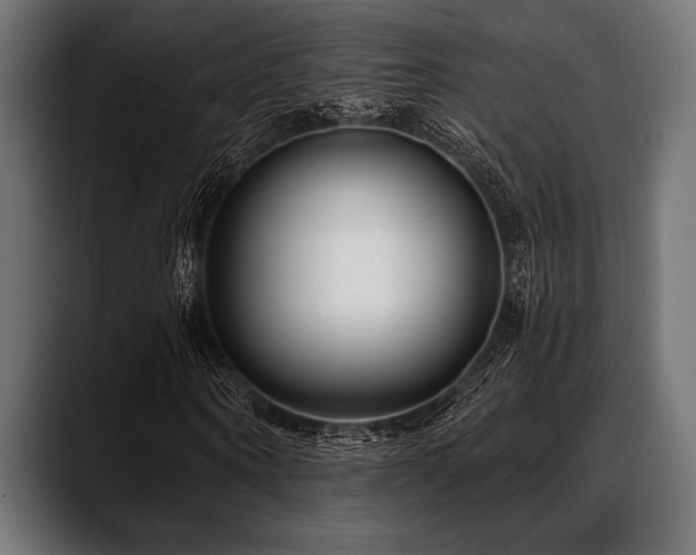 X0000088610866200705251219