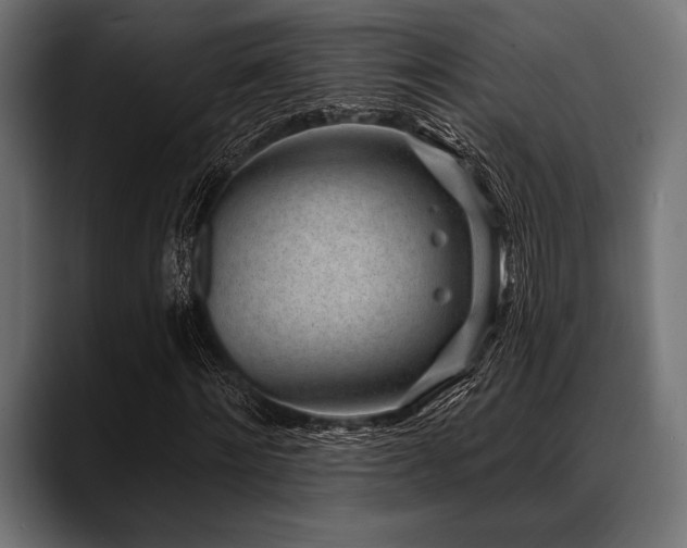 X0000088610868200705251219