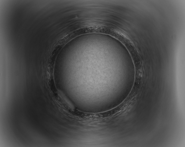 X0000088610869200705251219