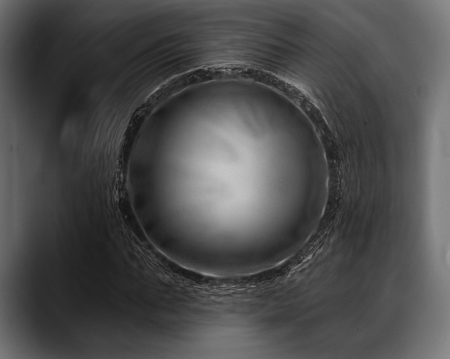 X0000088610871200705251219