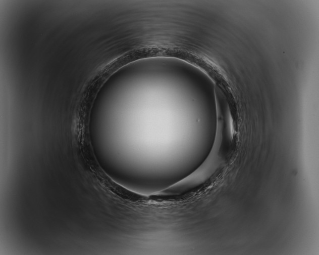 X0000088610872200705251219