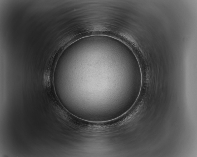 X0000088610873200705251219