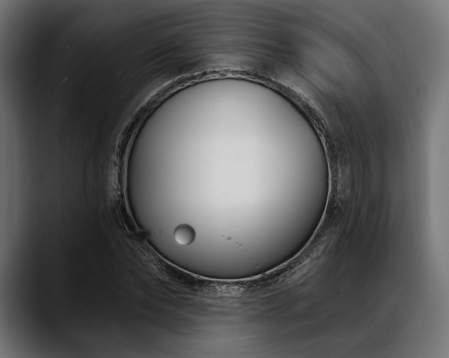 X0000088610878200705251219