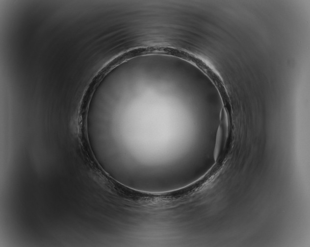 X0000088610879200705251219