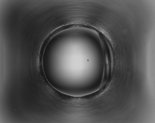 X0000088610880200705251219