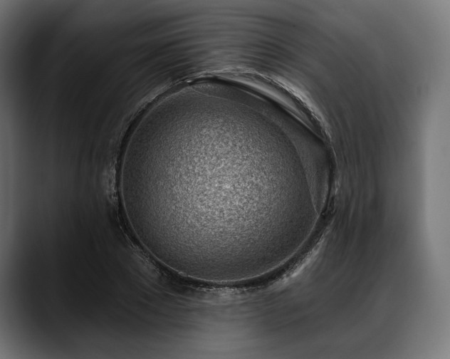 X0000088610881200705251218