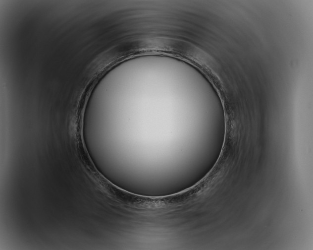 X0000088610882200705251218