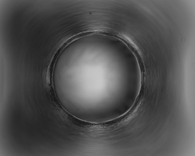 X0000088610883200705251218