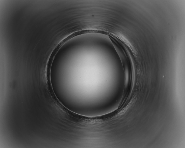 X0000088610884200705251218