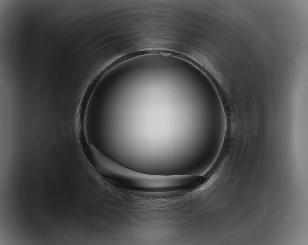 X0000088610885200705251218