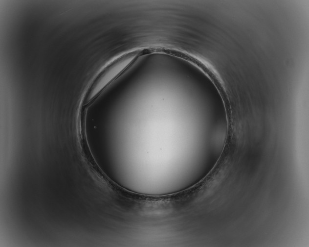 X0000088610887200705251218