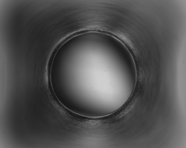 X0000088610888200705251218