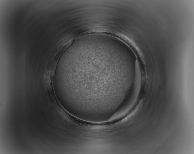 X0000088610889200705251218