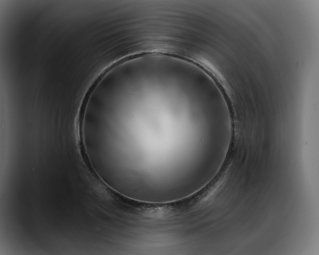 X0000088610891200705251218