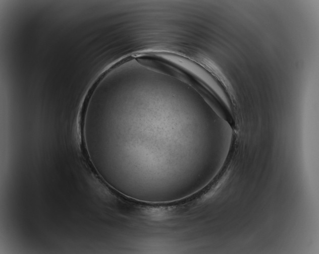 X0000088610892200705251218