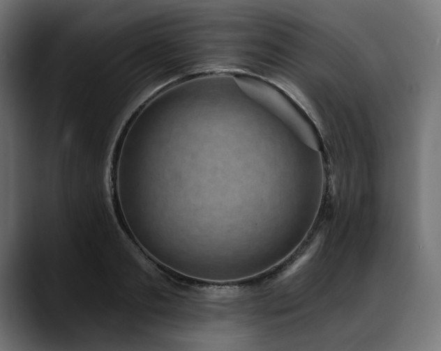 X0000088610893200705251218