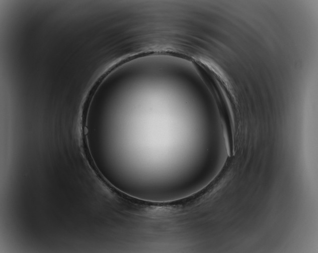 X0000088610894200705251218