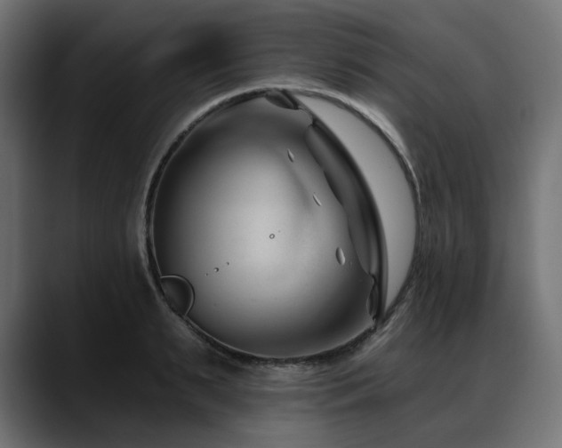 X0000088610895200705251218