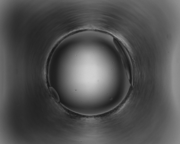 X0000088610896200705251218