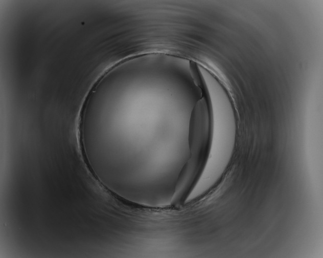 X0000088610899200705251218