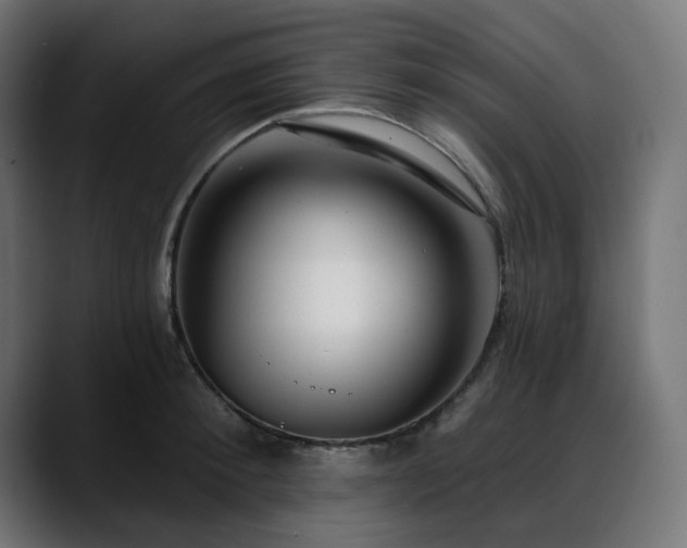 X0000088610900200705251218