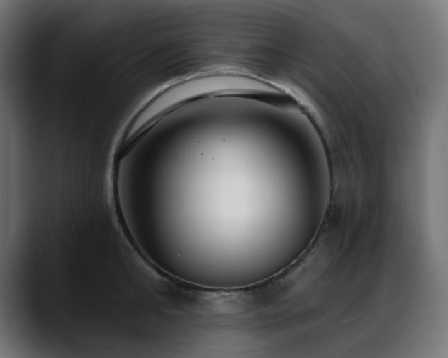 X0000088610902200705251218