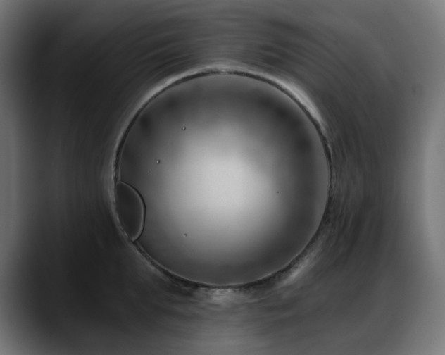 X0000088610903200705251218