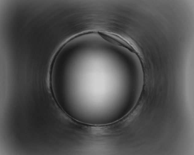 X0000088610904200705251218