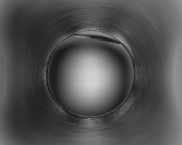 X0000088610906200705251218