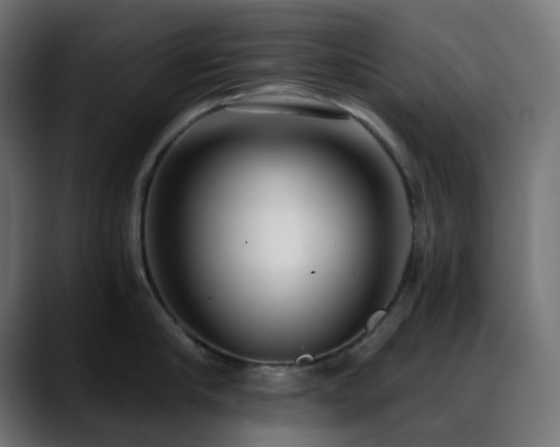 X0000088610910200705251218