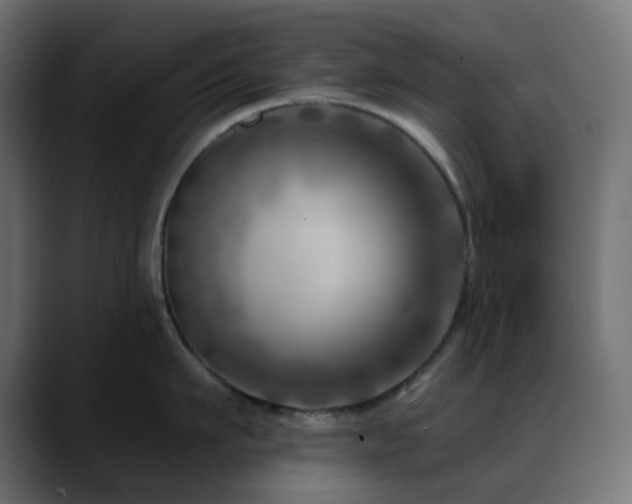 X0000088610911200705251218