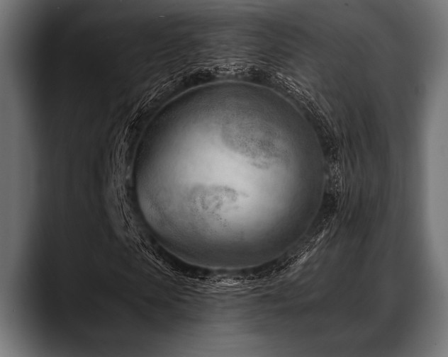 X0000088610913200705251217