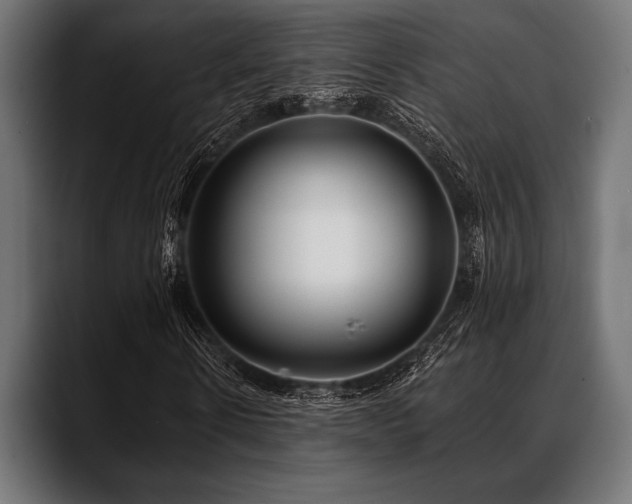 X0000088610914200705251217