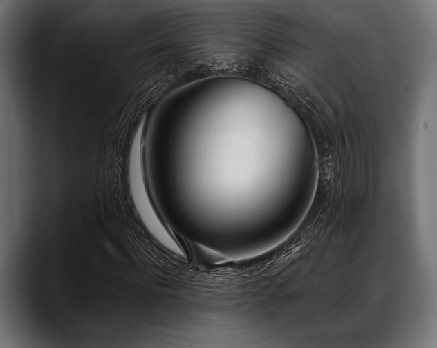 X0000088610916200705251217