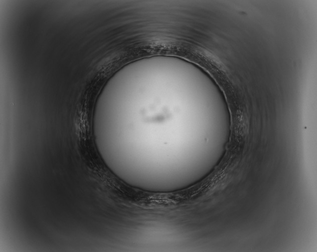 X0000088610918200705251218